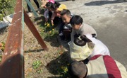 春分至 野菜香--瓦甸幼儿园开展户外社会实践活动